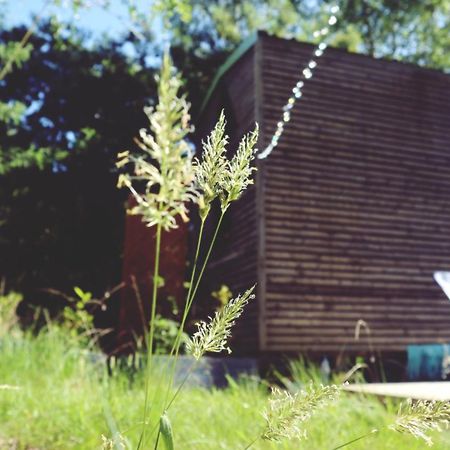 Tiny House Nouvelle Annonce Boho Ocean Naujac-sur-Mer Exterior foto